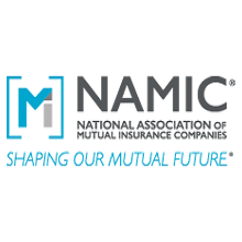 NAMIC Logo