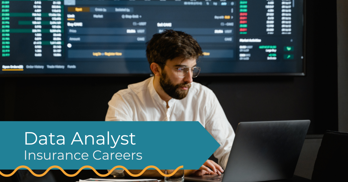 insurance data analyst